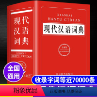 [正版]现代汉语成语词典2021新编中小学生多功能工具书大全全新版字典汉语词典高中生初中生中国现代汉语词典成语大词典成