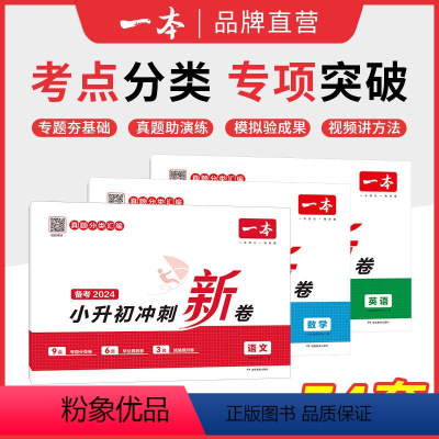 [老师推荐★全套3本]语文+数学+英语(2024年新版) 小学升初中 [正版]2024小升初冲刺新卷语文数学英语人教版小