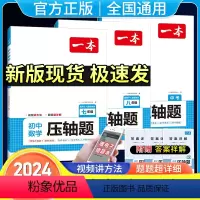 七年级数学压轴题(人教版) 初中通用 [正版]2024一本七八九年级中考数学压轴题初中数学有理数方程初一数学必刷题上下册