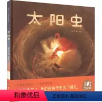 太阳虫 [正版]太阳虫 儿童绘本3–6岁精装硬壳幼儿园绘本阅读老师儿童故事3一6幼儿经典童话绘本宝宝睡前故事书4岁书籍儿