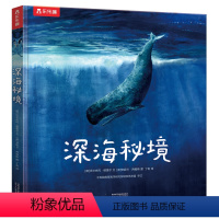 深海秘境 [正版] 深海秘境 3-6-8-10岁以上少年海底动物生物世界科普百科全书籍小学生一二年级课外阅读科普大绘本深