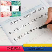 [正版]李清照字帖练字大学生楷书正楷字帖楷体字帖女生字体漂亮古风唯美高中生速成荆霄鹏楷体纳兰性德李清照诗词集全集字帖