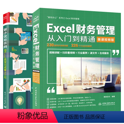 [正版]2册 审计效率手册用Excel高效完成审计工作+Excel财务管理从入门到精通审计人员职场升级利器提升审计效率