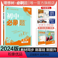 化学 人教版 九年级上 [正版]理想树2024新版初中必刷题九年级上册化学人教版RJ初中同步练习九年级化学教辅资料配赠狂