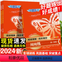 阅读理解与完形填空(第8版) 高中一年级 [正版]2024快捷英语高中听力周周练英语完形填空与阅读理解高考单字语法全解大