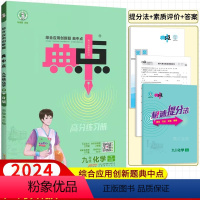 化学 人教版 九年级下 [正版]2024新版典中点九年级下册化学人教版RJ 初中化学必刷题库典点9年级化学同步检测卷练习