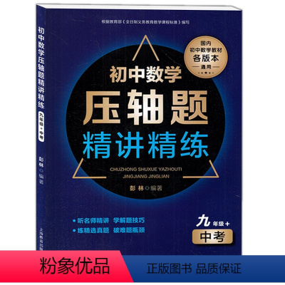 [正版]初中数学压轴题精讲精练 九年级/9年级 中考 含答案 上海教育出版社 初中数学教辅