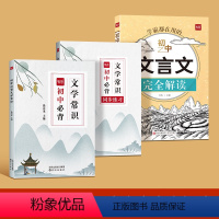 [全3册]初中必背文学常识+同步练习+文言文完全解读 初中通用 [正版]易蓓初中必语文文言文背诵古诗词完全解读一本通大全