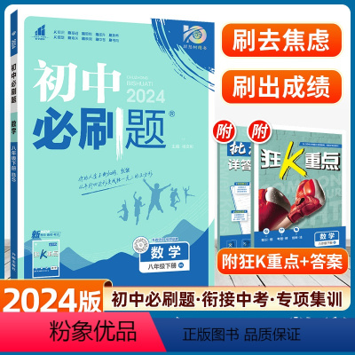 数学-北师版 [正版]2024新版初中八年级下册数学人教版初二数学八年级下册数学全套试卷北师沪科湘教资料书8年级八下同步