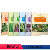 精品蔬菜生产技术丛书(6本) [正版]精品蔬菜生产技术丛书(第二版)