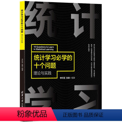 [正版]统计学习必学的十个问题——理论与实践 李轩涯 人工智能统计学习
