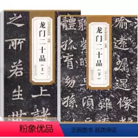 [正版]北魏龙门二十品 上下 历代碑帖精粹 薛元明编 附技法解析 临摹临习篆书的好范本艺术书法篆刻