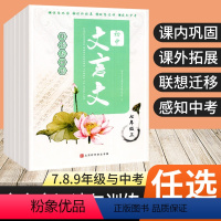 文言文 九年级/初中三年级 [正版]2023版初中文言文阅读与训练七八九年级上册下册中考语文文言文全解一本通初中古诗词和