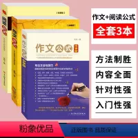 [正版]作文公式 阅读公式(中学版 收藏版) 余地著 全套3本 初中语文阅读提分技巧与方法 中学生初中生高中生作文满分