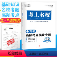 [正版]新 考上名校语文小升初五六年级小学总复习练习册名校考题56年级考点分类训练冲刺名校模块专训语文基础知识小学升初