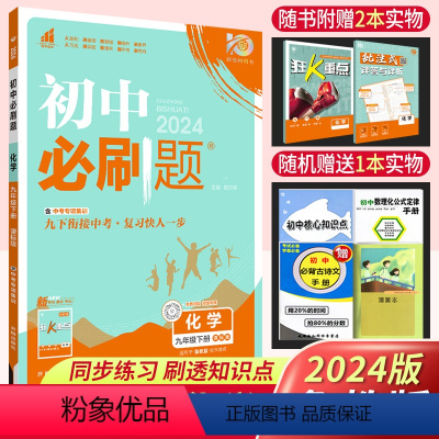 化学 鲁教版 九年级下 [正版]2024初中九年级下册化学鲁教课标版 理想树初中九下化学同步训练练习题册附狂K重点中考化