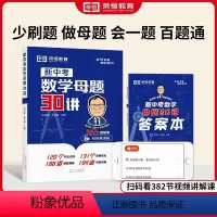 新中考数学母题30讲 初中通用 [正版]新中考数学母题30讲初三统考真题模拟押题卷初中数学考点精讲与答题技巧知识总结大全