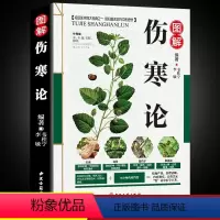 [正版]伤寒论张仲景原著全集中医伤寒杂病论选读白话文中医养生书籍大全医学全书中医自学入门零基础倪海厦四大名著之一医学类