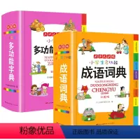 [正版]成语词典全套2册版全功能小学生实用多功能字典工具书字典中华现代现代汉语大全彩图彩色版四字成语辞书大字典解释书