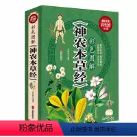 [正版]加厚大本《神农本草经》原著彩色图解 原文译文注释 古籍本草纲目李时珍中医养生书籍大全中草药书中医入门医学书籍