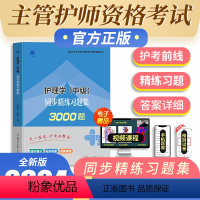 [正版]2024新版护理学中级主管护师中级备考同步精练习题集历年真题解析模拟试卷及解析中级护师题库掌中宝冲刺跑轻松过人