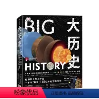 [正版]DK大历史 从宇宙大爆炸到我们人类的未来,138亿年的非凡旅程 大卫·克里斯蒂安著 千幅信息图的视觉盛宴 出版