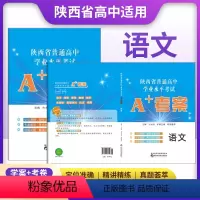陕西专版[语文]考案+试卷 高中通用 [正版]2024新A+考案陕西省普通高中学业水平考试历史政治通用技术地理生物物理化