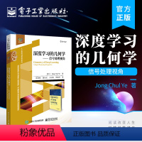 [正版] 深度学习的几何学 信号处理视角 深度学习模型算法向量空间矩阵代数凸优化深度神经网络几何学无监督学习书籍 芮钟