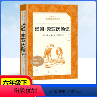 [正版]汤姆索亚历险记 六年级下册原著无删减版 语文寒暑假课外阅读物书目经典名著 人民文学出版社 汤姆索亚历险记