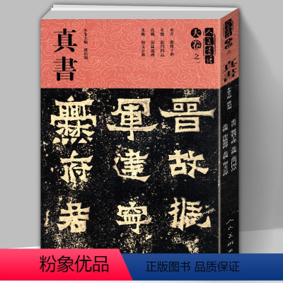 [正版]8开191页人美书谱天卷之一 北魏真书龙门四品张猛龙碑爨宝子碑郑文公碑 孙伯翔主编 楷书毛笔书法练字帖碑帖临摹