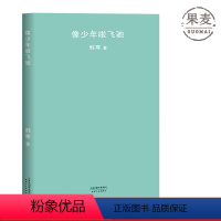 [正版]像少年啦飞驰 韩寒 韩寒第二部长篇小说 人生如少年般飞驰 韩寒作品集 电影飞驰人生 果麦图书