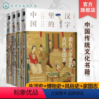 [正版]汉字里的中国 许晖 藏在汉字里的古代家国志 风俗博物生活4册 汉字字形演变汉字解读古代社会文化 家国情怀传社会