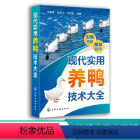 [正版]现代实用养鸭技术大全 郑嫩珠 鸭引种饲养管理疾病防治和鸭场经营 现代鸭种繁育 鸭场饲养技术人员 管理人员和广