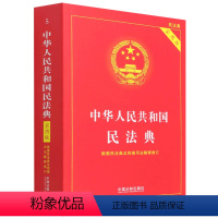 [正版]中华人民共和国民法典(实用版根据民法典总则编司法解释修订) 中国法制出版社 9787521610130中国法