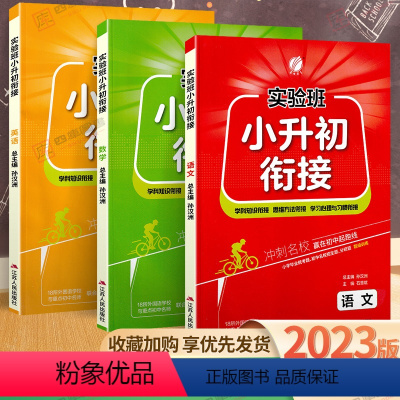 小升初衔接[3本]-语文+数学+英语 小学升初中 [正版]2023新版春雨小升初衔接真题卷语文数学英语必刷题人教版小学毕