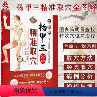 [正版]杨甲三精准取穴全图解刘乃刚快速准确找穴位三边三间取穴法真人全彩肌肉骨骼大字版大图册临床针灸血艾灸推拿按摩穴位人