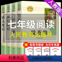 [正版]全套4册 镜花缘李汝珍白洋淀纪事湘行散记猎人笔记原著人民教育出版社七年级上册必读课外书名著初一阅读书籍初中生人