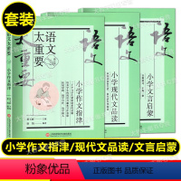 语文太重要 小学(全3册) 小学通用 [正版]2023新版语文太重要 小学文言启蒙+现代文品读+作文指津 修订版 全套3