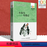 [正版]中小学必读文学经典 小布头奇遇记 百年百部 书 9-12-15岁青少年六年级课外阅读书籍名师指导4-6年级中