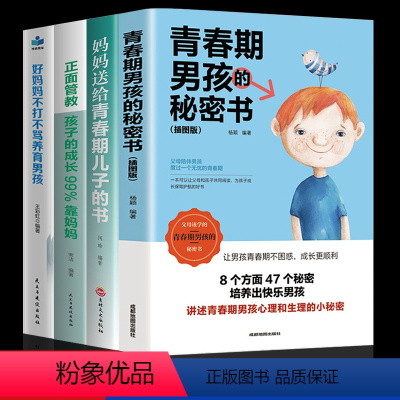 [正版]全套4册 青春期男孩的秘密书男孩教育书籍正面管教好妈妈不打不骂养育男孩育儿书籍父母需读家庭教育性生理知识叛逆期