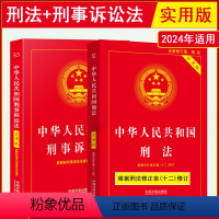 [正版]2024年版适用中华人民共和国刑法+刑事诉讼法实用版 刑法修正案十二 2023中国刑法典版刑诉法法规法条书籍