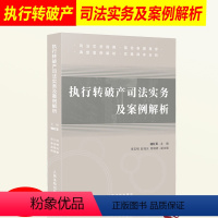 [正版] 执行转司法实务及案例解析 执转破案件司法实践 司法实务 简化审理程序 典型案例解析 规则解读实务 人民法