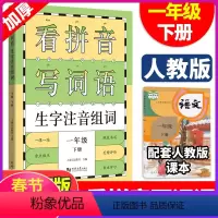 [正版]一年级下册拼音专项同步训练看拼音写词语 小学1年级生字注音组词阅读理解 语文默写能手看图说话写话训练天天练上海