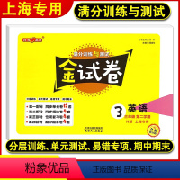 [正版]新版 钟书金牌 金试卷三年级下 英语N版 3年级下册/第二学期 满分训练与测试 上海小学教辅课后同步配套期中