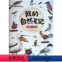 [正版]我的自然笔记.发现一只鸟