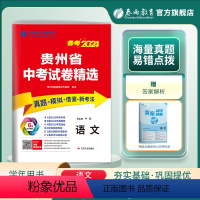 语州省 [正版]贵州省2024年贵州省中考冲刺试卷2023年贵州中考语文真题试卷精选贵州中考语文模拟试卷