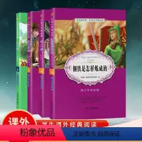 [正版]昆虫记+钢铁是怎样炼成的+百万英镑+名人传中小学课外阅读书籍青少年彩绘版小学初中课外名著读物课外故事书文学精品