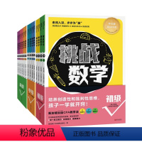 挑战数学初级+中级+高级[全14册] [正版]挑战数学全套14册小学数学启蒙举一反三幼儿益智游戏专注力智力开发全脑 JS