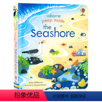 [正版]Usborne偷偷看里面系列 海滩 纸板翻翻书洞洞书 英文原版绘本 Peep Inside the Seash