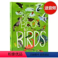 [正版]自然科普艺术绘本鸟类大书 The Big Book of Birds百花大绘本英文原版儿童科普读物英语启蒙熏陶